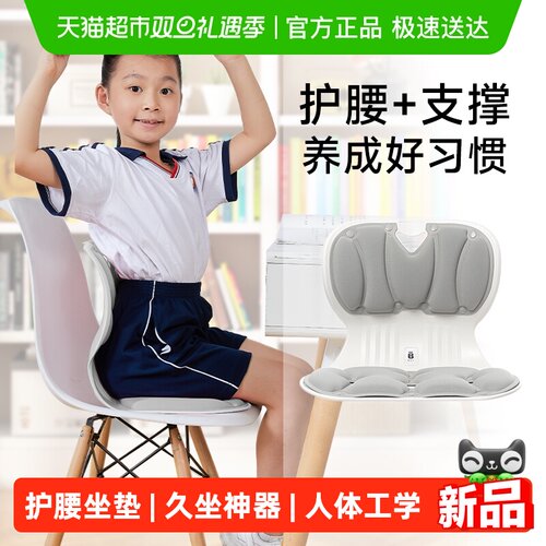 BKT人体工学矫正坐姿儿童坐姿椅