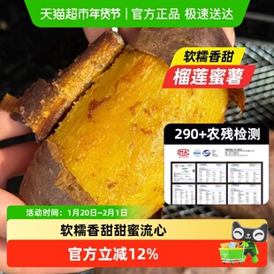 正宗榴莲蜜薯黄心红薯现挖地瓜新鲜甜蜜薯沙地糖心软糯玛莎莉番薯