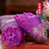 农场直发，豫小派 新鲜沙地紫薯 净重4.5斤 券后13.5元包邮
