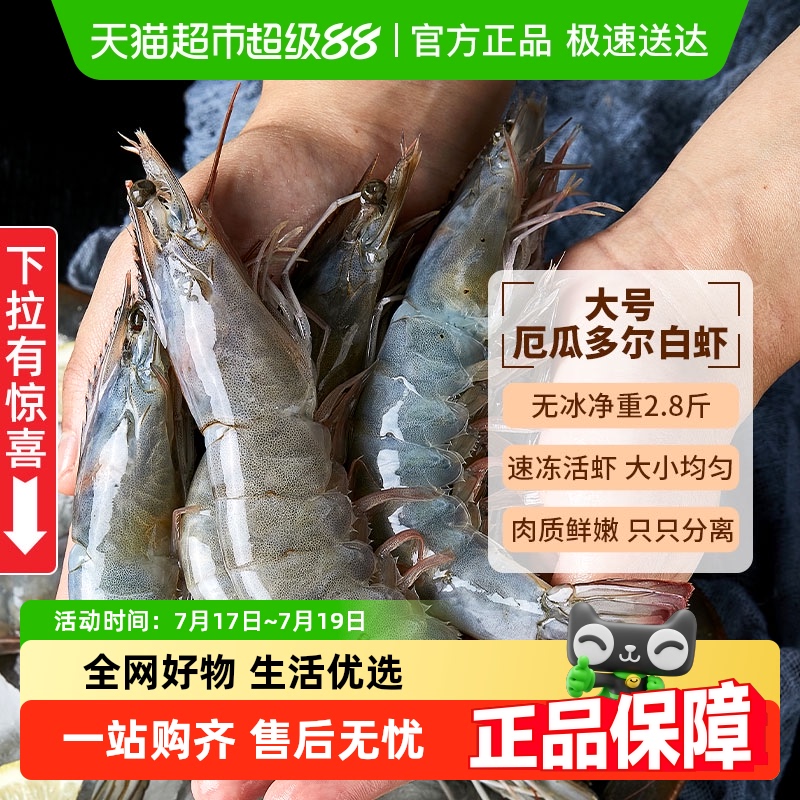 厄瓜多尔产地大虾特大净重无冰
