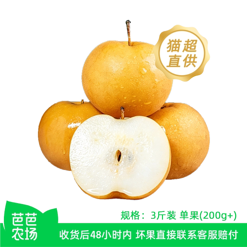 妃尝山东秋月梨