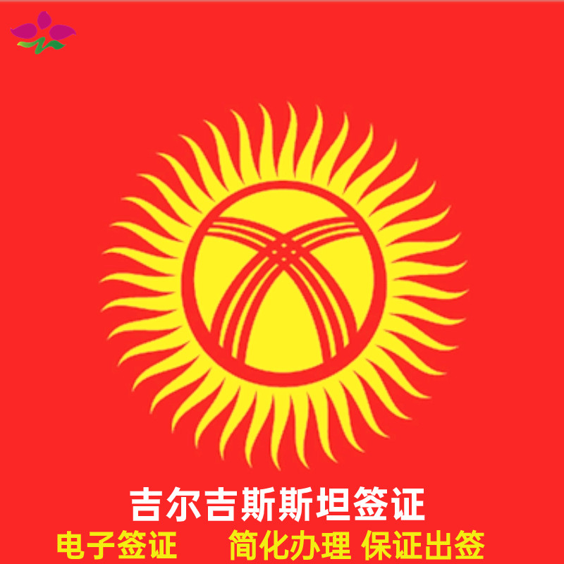 吉尔吉斯斯坦签证中亚五国签证电子旅游签证商务电子签证极简材料加急出签催签【加急办理  拒签史可再办理】