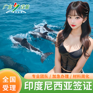 印度尼西亚·商务签证·全国送签·印尼签证商务签证60天停留落地电子签证加急简化办理雅加达巴厘岛展会会议