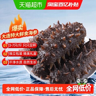 大连海参即食刺参礼盒淡干辽参鲜活野生海渗独立包装旗舰正品通用
