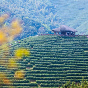 旅拍 钓鱼 浙江安吉君澜老庄酒店2晚含早 汤泉 周末不加价