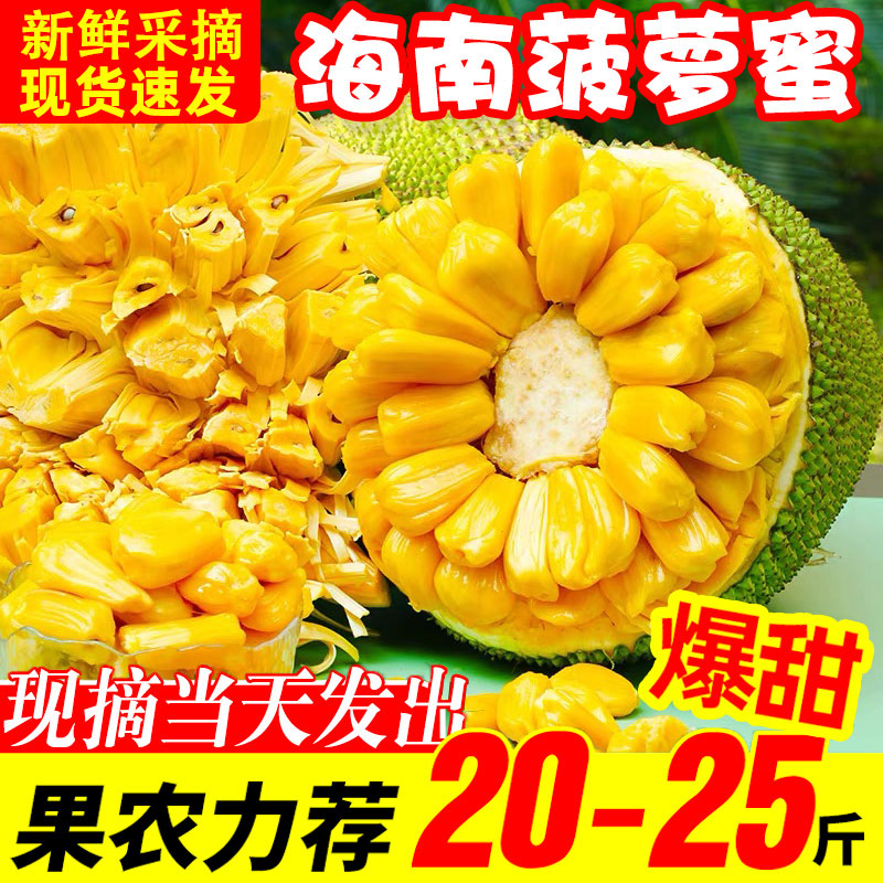 海南黄肉菠萝蜜新鲜水果干包满肉当季特产包邮一整个大果