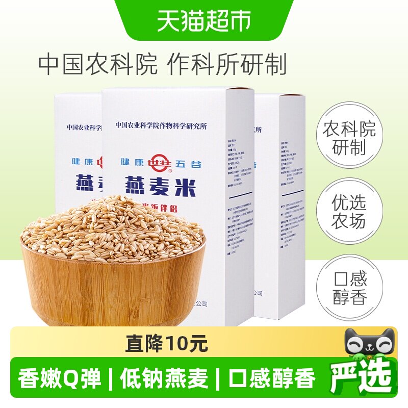世壮农科院燕麦米饭伴侣口感醇香图片