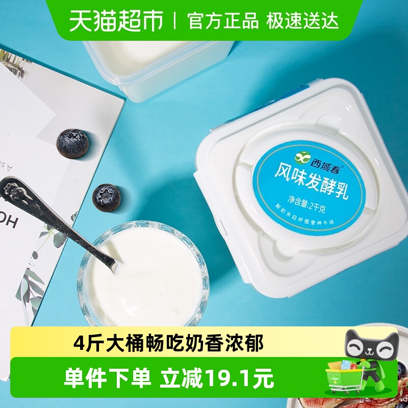 西域春大包装新疆特产原味酸奶