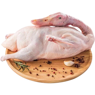 新鲜整鸭子鸭肉食品白条鸭冷冻整鸭生鲜食材鲜鸭子肉整只顺丰包邮