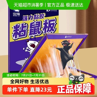家用一窝端10张装 科凌虫控老鼠贴超强力粘鼠板抓灭鼠捕鼠神器正品