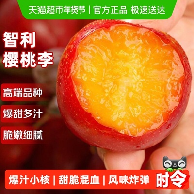 智利进口樱桃李礼盒