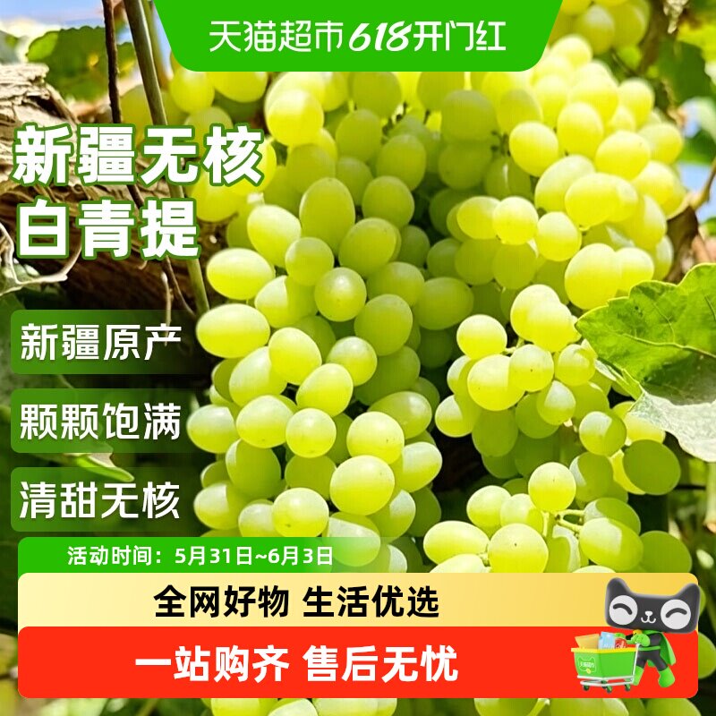 云南无核白小蜜蜂葡萄应当季新鲜水果无籽青提葡萄整箱