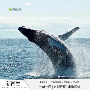 【新西兰南岛】皇后镇+基督城+特卡波 湖+瓦纳卡+凯库拉7天6晚