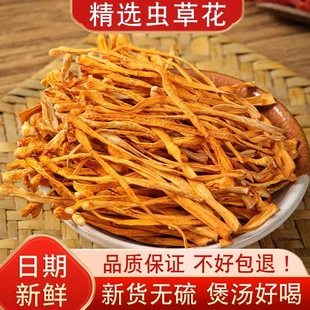 虫草花干货精选正品 特级野生煲汤料新鲜无硫孢子头北金蛹虫草