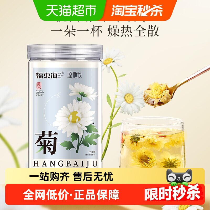 福东海桐乡杭白菊胎菊头茬
