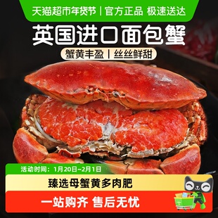 云储生活超大面包蟹鲜活熟冻帝王蟹大螃蟹母英国水产黄金蟹珍宝蟹