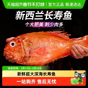 云储生活深海长寿鱼超大海鱼橙红石斑鱼新西兰海鲜水产鲜活冷冻