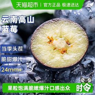 云南高山蓝莓鲜果新鲜水果超大果巨无霸高山花香蓝梅应当季 整箱