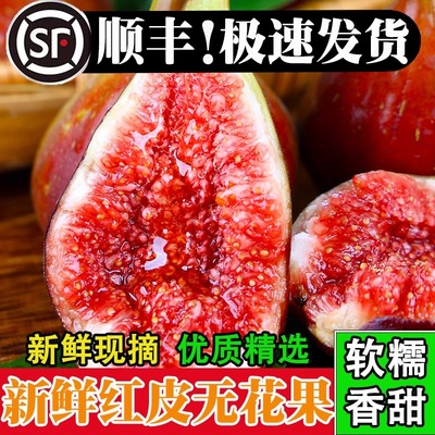 新鲜采摘云南红皮无花果5斤当季软糯水果现摘鲜果非青皮