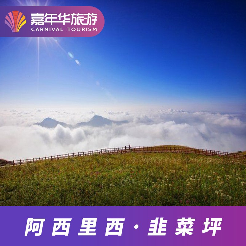 [韭菜坪-大门票]贵州 毕节 韭菜坪 贵州旅游