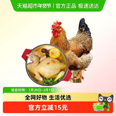 温氏食品黄羽鸡老母鸡1.2kg