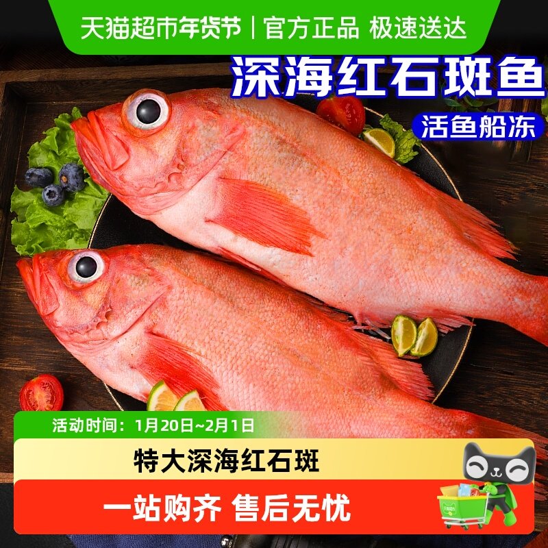 红石斑鱼鲜活冷冻超大条深海红鱼龙胆富贵鱼海鲜水产,水产肉类/新鲜蔬果/熟食,淡水鱼类,淘宝优惠券,粉丝福利购,淘宝优惠卷
