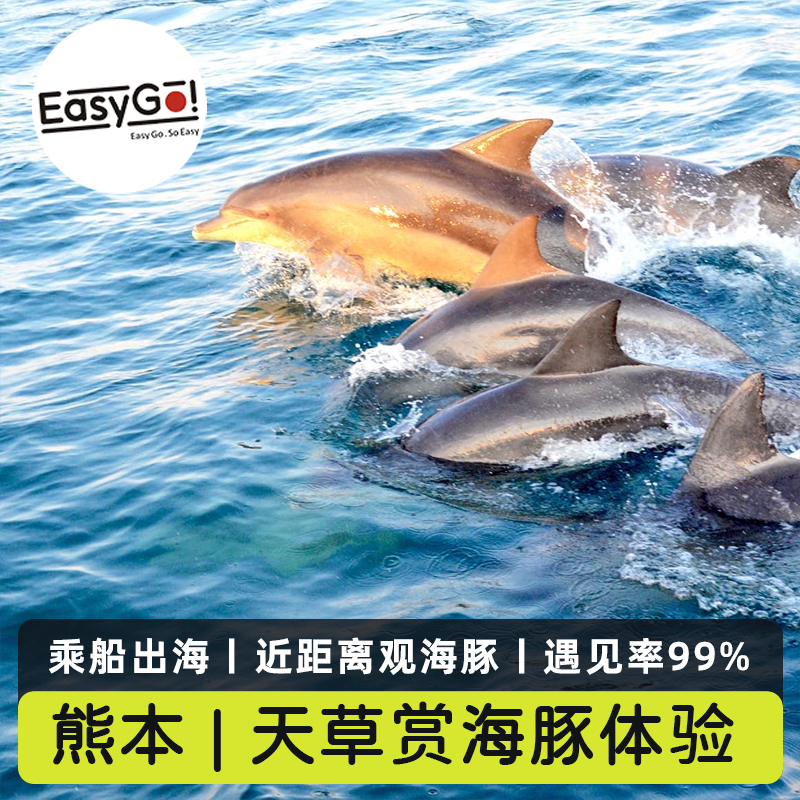 熊本天草赏海豚出海之旅