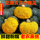 正宗山东寿光香糯甜板栗味贝贝小南瓜新鲜蔬菜老南瓜惠和一号