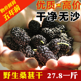 野生无沙黑桑葚干黑桑椹桑果干新鲜桑葚子非特级泡酒泡茶做膏包邮