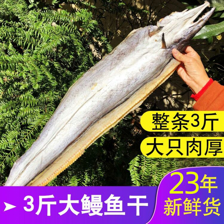 3斤大鳗鱼干 1500g一整条 风海鳗干鳗鲡鳗鱼鲞咸鱼干 海鲜干货