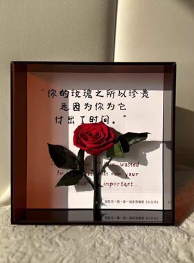 进口永生花小王子玫瑰礼盒摆件