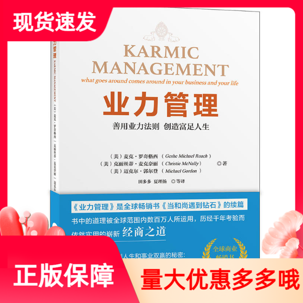 业力管理善用业力法则创造富足人生新版当和尚遇到钻石续篇能断金刚作者麦克罗奇商业畅销书籍业力管理正版