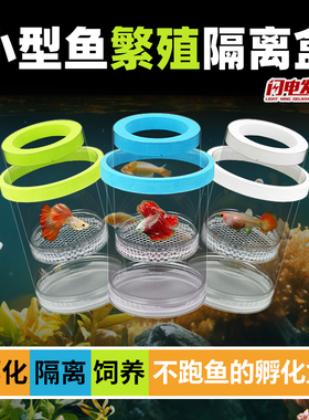 鱼缸隔离盒孔雀鱼繁殖盒鱼缸孵化器小鱼幼鱼母鱼产房悬浮漂浮式