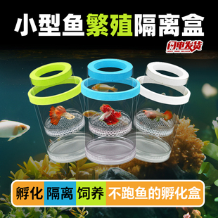 鱼缸隔离盒孔雀鱼繁殖盒鱼缸孵化器小鱼幼鱼母鱼产房悬浮漂浮式