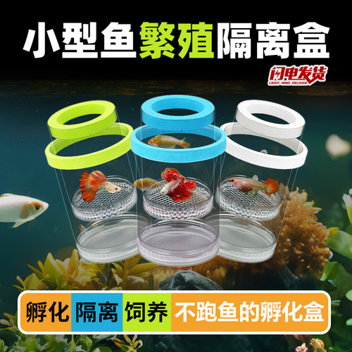 鱼缸隔离盒孔雀鱼繁殖盒