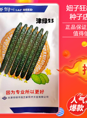 津绿25号黄瓜种子 密刺黑绿油亮越夏种籽 耐热耐高温绿肉瓜新货