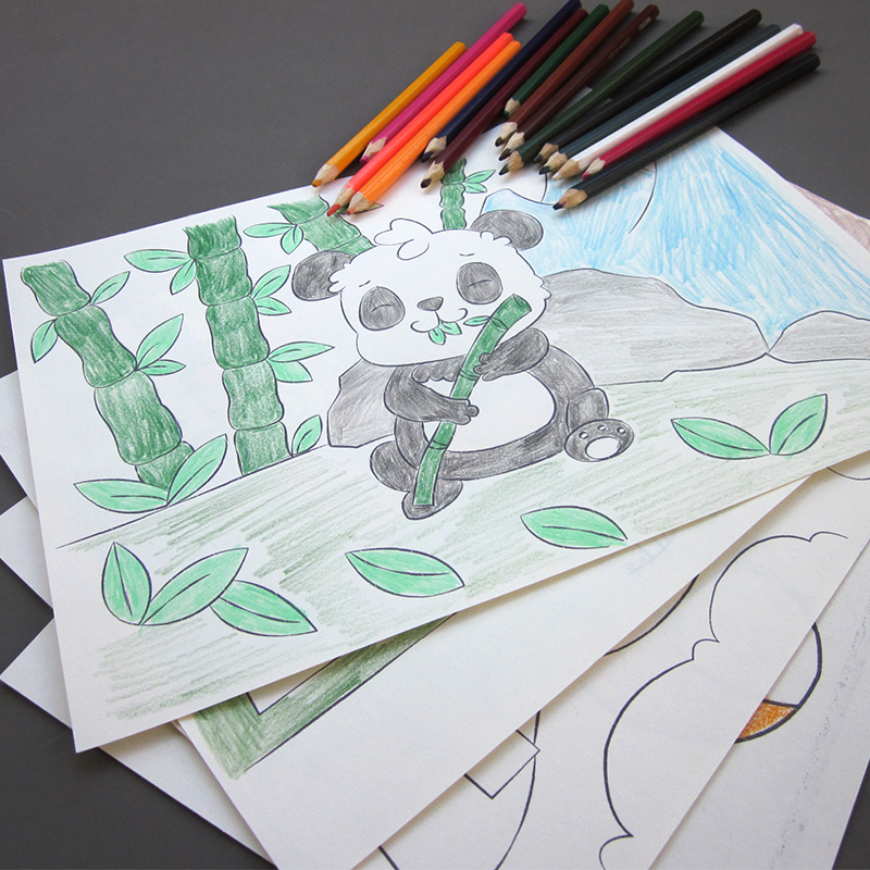 幼儿童3-6岁线稿美术作业手绘本画画描摹本熊猫动植物场景涂色本