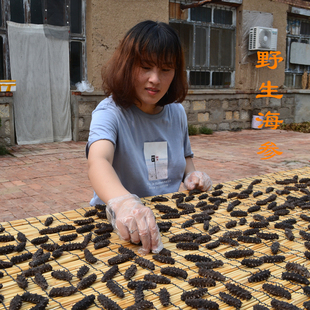 渔民捕捞野生淡干海参刺参大连辽参礼盒海渗干货非即食4-7只/50克