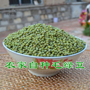 绿豆新货毛绿豆杂粮老品种毛绿豆易煮烂小毛绿豆可当种子养生杂粮