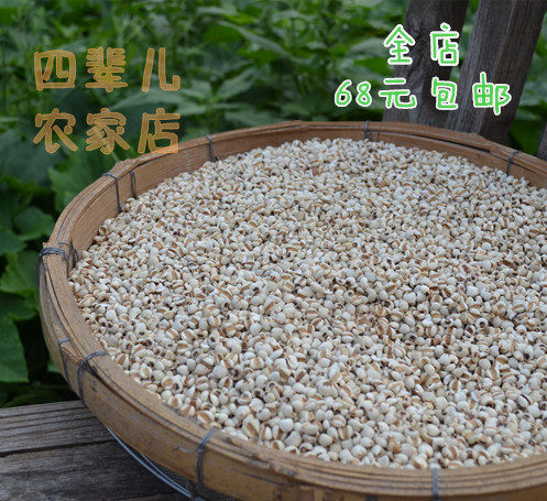 农家散货优级山东小薏米仁苡意仁 非大面积贵州蒲城