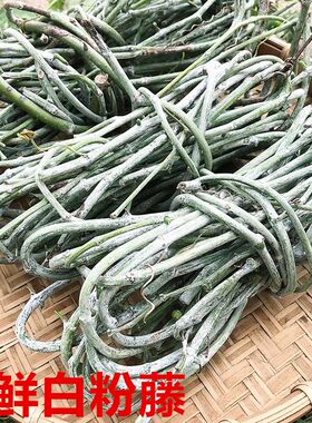 新鲜中草药材500g包邮