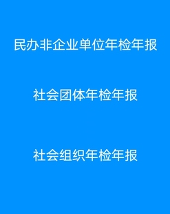 民办非企业单位成立变更社会团体成立变更登记社会组织年检换届
