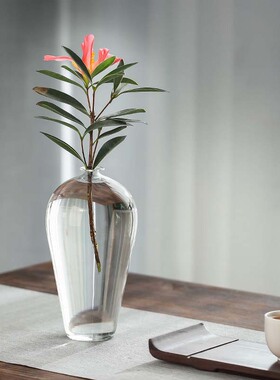 透明玻璃花瓶插花水养梅瓶禅意水晶摆件家居客厅装饰日式水培花器