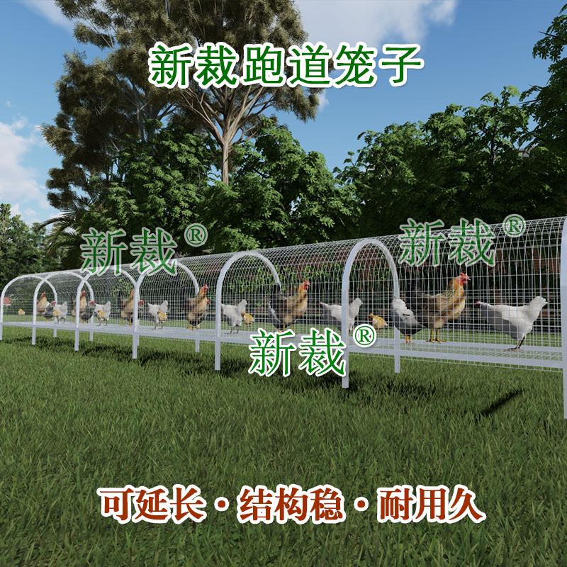 新裁隧道走地鸡笼跑道笼子