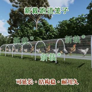 走地鸡笼隧道跑道鸡笼家用室外鸡笼铁丝网户外移动笼子防狼电焊网