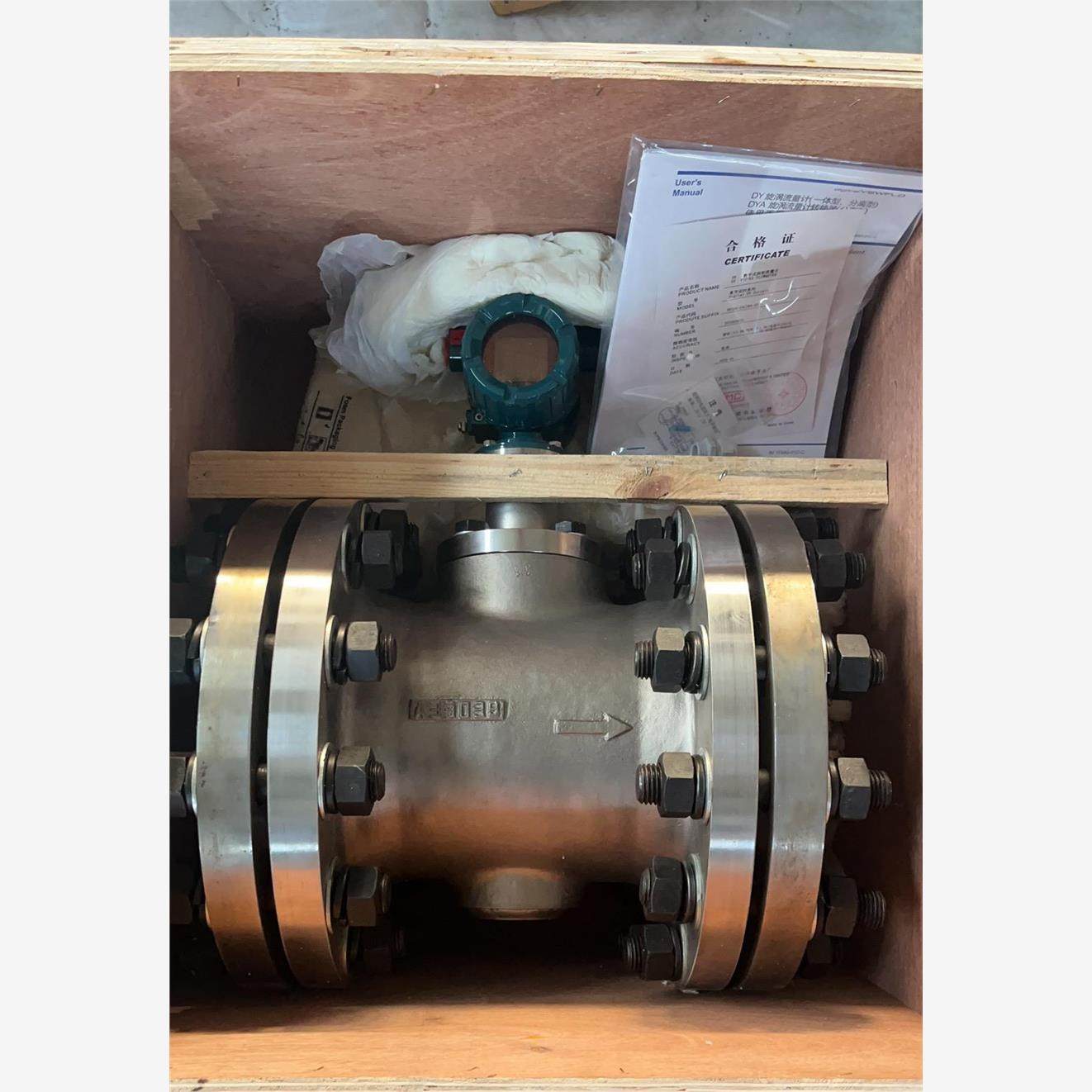 横河涡街流量计DN200口