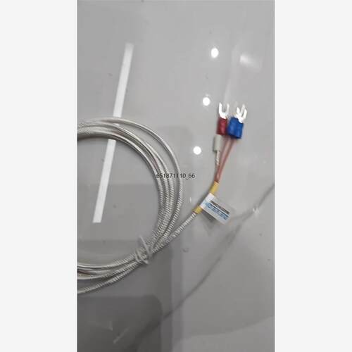 Deveok热电阻E52-P6DY1