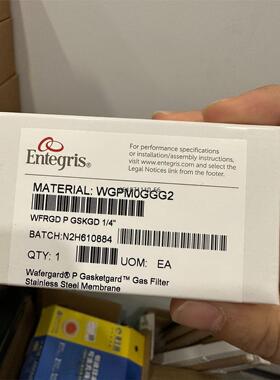 美国ENTEGRIS气体过滤器WG2FT1RR2 WGFGT