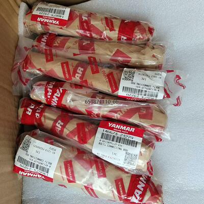 EY18连杆螺丝46673-20