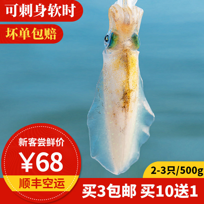 软时 500g 东山岛海鲜 可刺身软丝 活冻莱式拟乌贼 刺身大鱿鱼